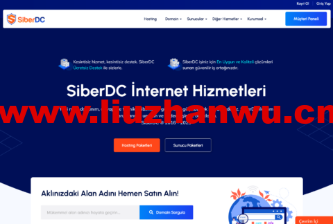 SiberDC：土耳其VPS，2核/1GB内存/30G SSD/1Gbps不限流量，$1.3/月-主机之家测评
